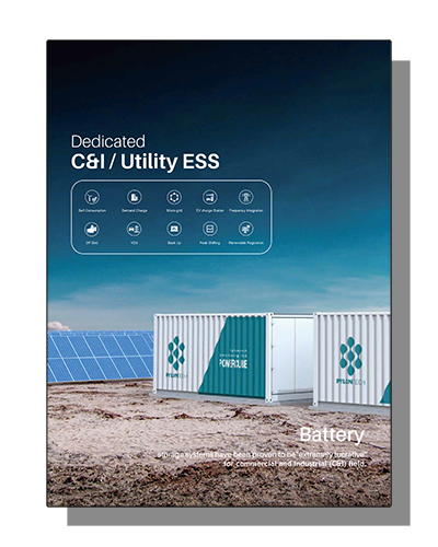 Container Based C&I / Utility Systems